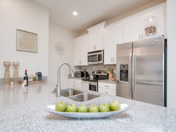 Orlando Home 977507