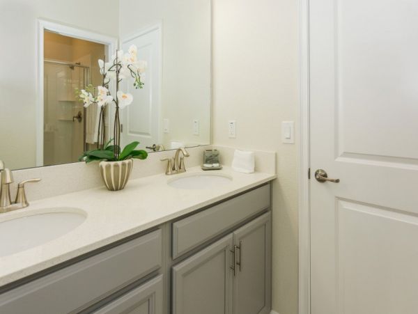 Orlando Home 977523