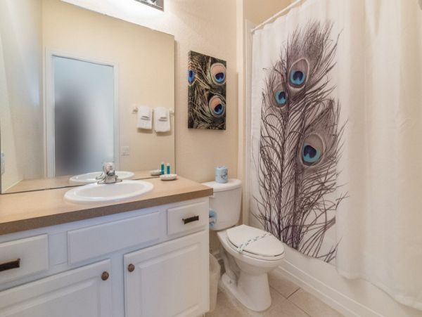 Orlando Home 977541