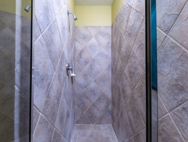 Orlando Home 977566