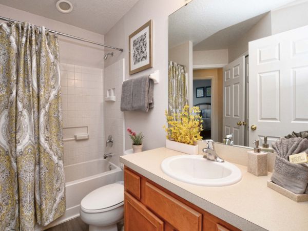 Orlando Home 977572