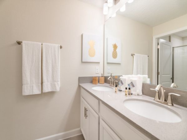 Orlando Home 977579