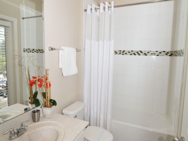 Orlando Home 977580