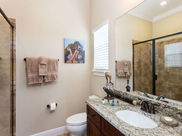 Orlando Home 977593