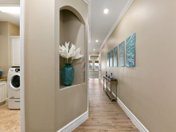 Orlando Home 977629