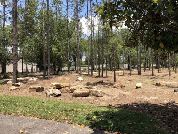Orlando Home 977642