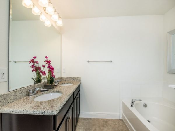 Orlando Home 977685