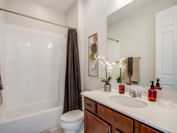 Orlando Home 977686