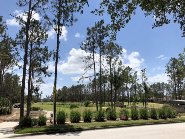 Orlando Home 977735
