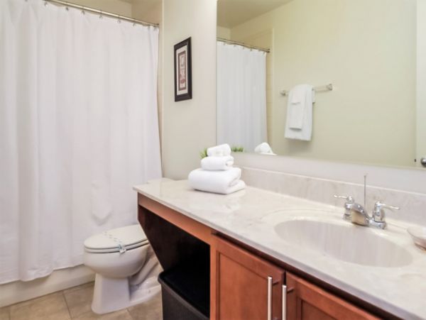 Orlando Home 977763