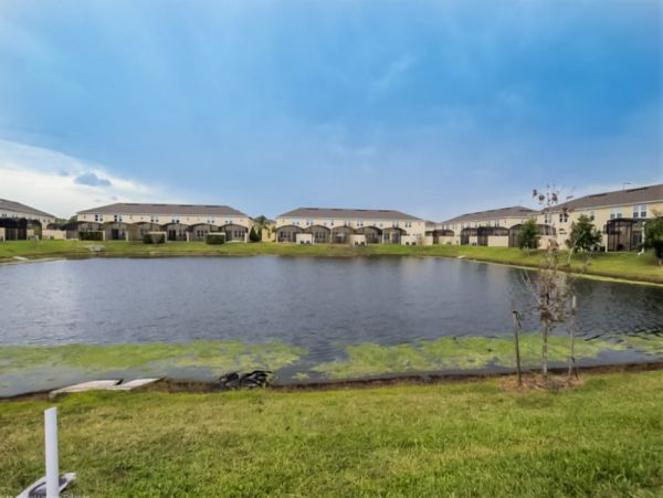 Orlando Home 977763