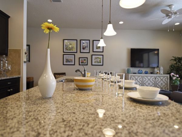 Orlando Home 977765