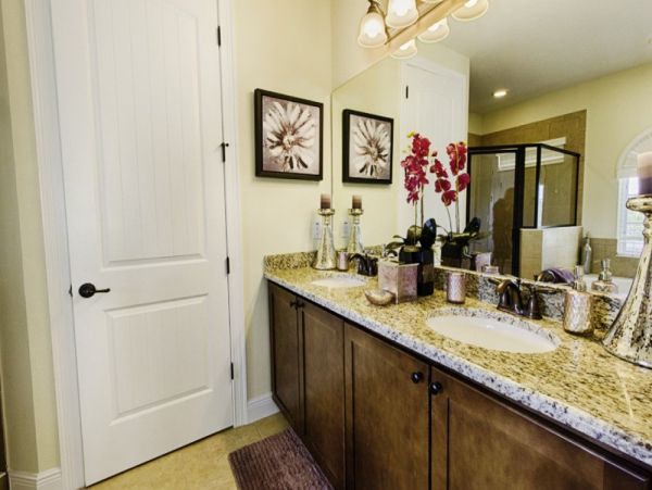 Orlando Home 977767