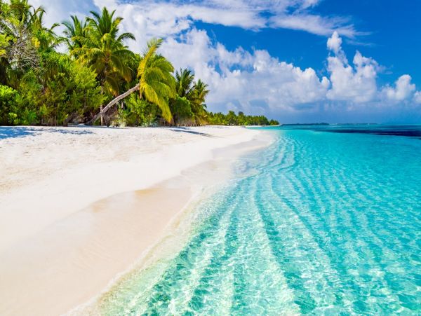 Bahama Beauty Call Today.