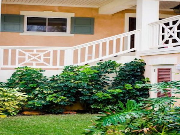 Bahamas Home 977807