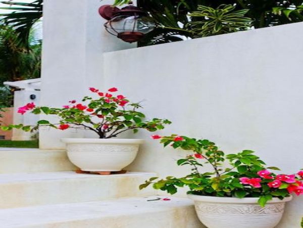Bahamas Home 977807