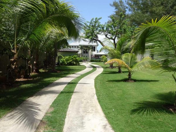 Bahamas Home 977808