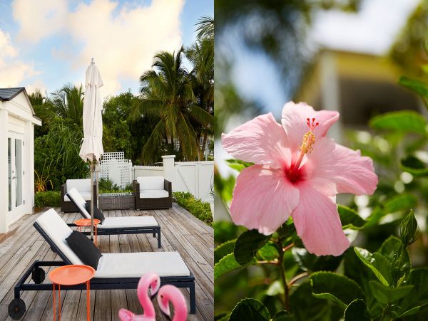 Bahamas Home 977809