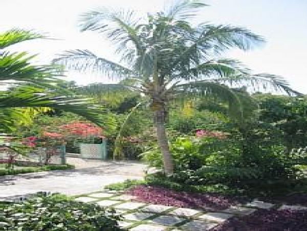 Bahamas Home 977827