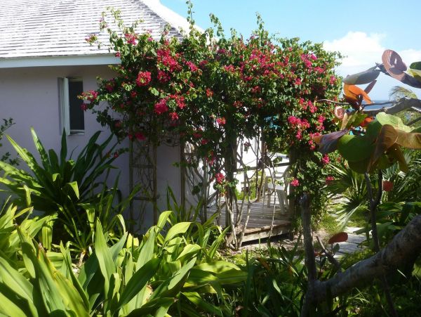 Bahamas Home 977840