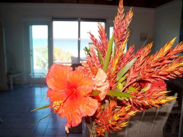 Bahamas Home 977840