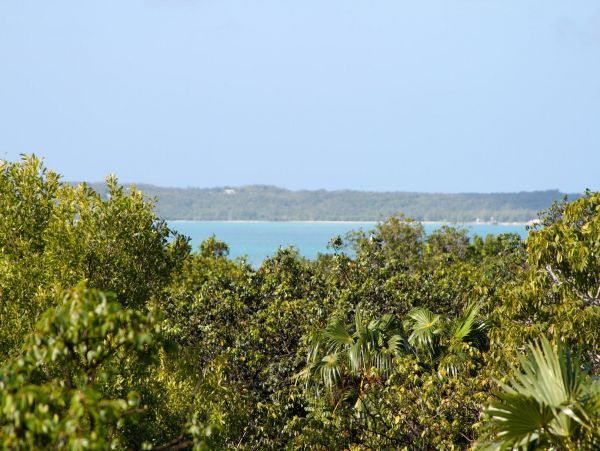 Bahamas Home 977861