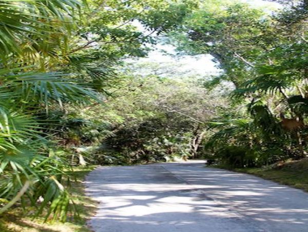 Bahamas Home 977861