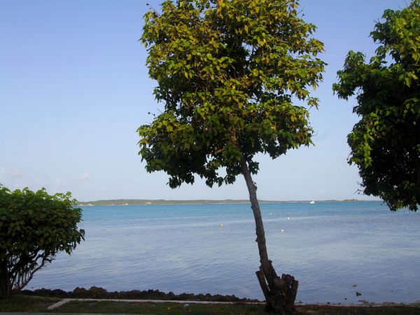 Bahamas Home 977865