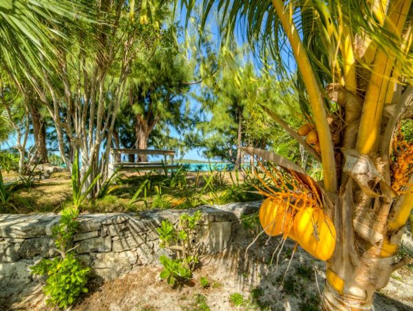 Bahamas Five Bedroom Vacation Beach Homes Sleeps 14