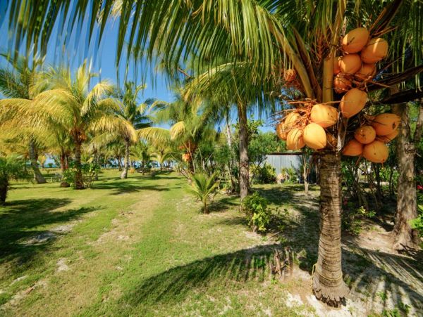 Bahamas Five Bedroom Vacation Beach Homes Sleeps 14