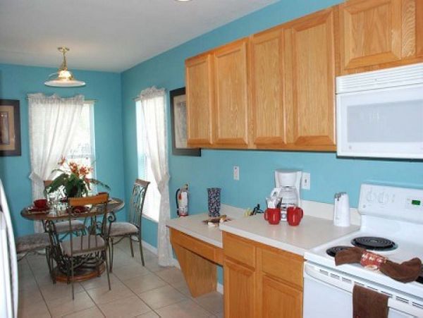 Orlando Home 977891