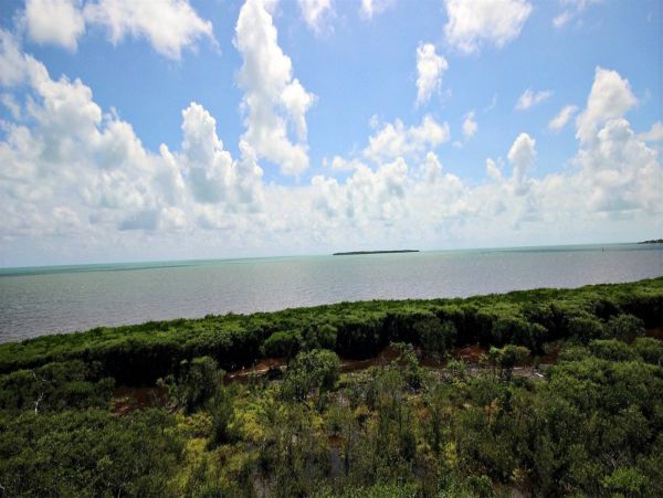 The Florida Keys Condo 977908
