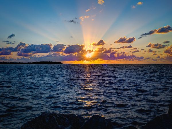 The Florida Keys Condo 977914