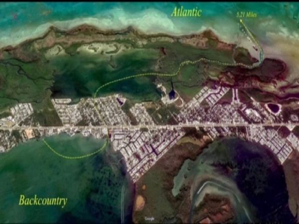 The Florida Keys Condo 977918