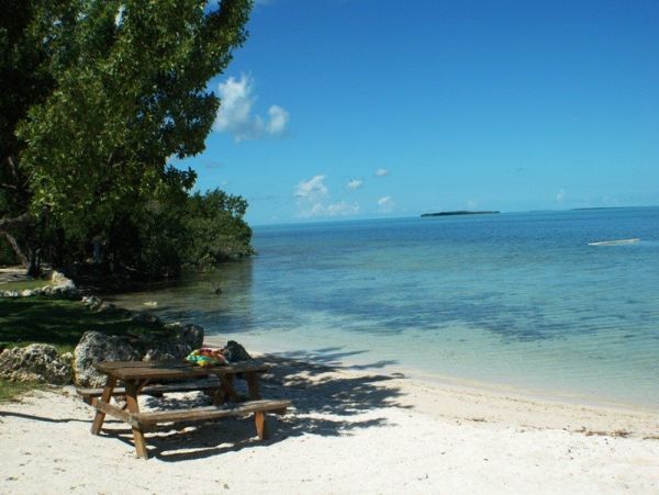 The Florida Keys Condo 977920