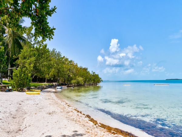 The Florida Keys Condo 977922