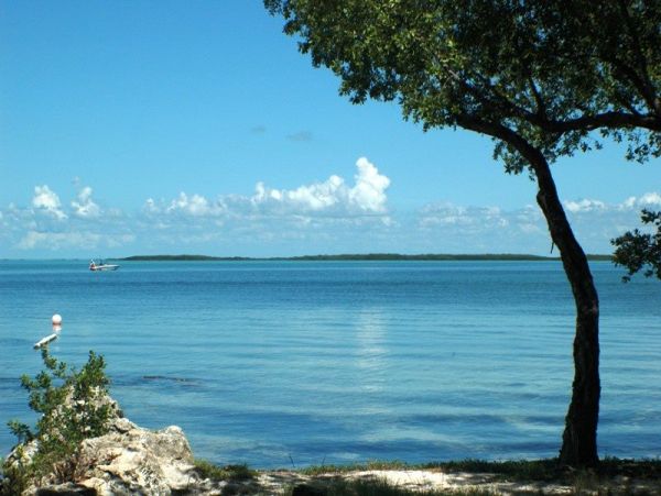 The Florida Keys Condo 977925