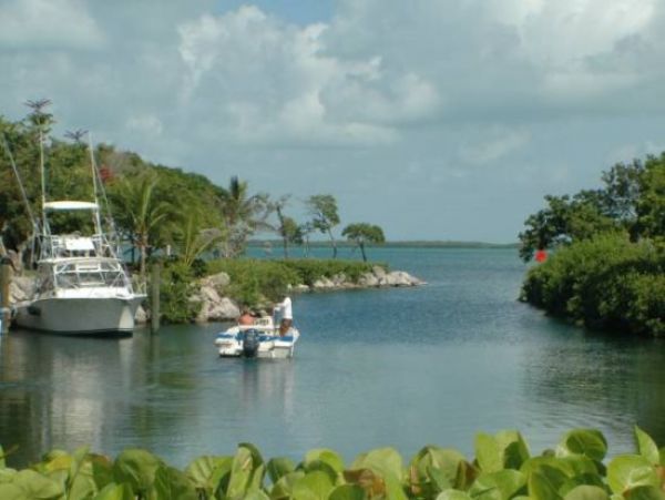 The Florida Keys Condo 977925