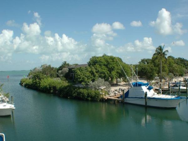 The Florida Keys Condo 977926