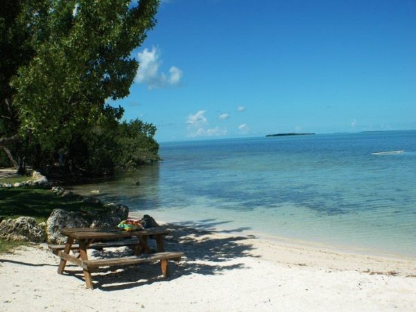 The Florida Keys Condo 977926