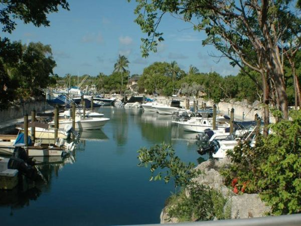 The Florida Keys Condo 977926