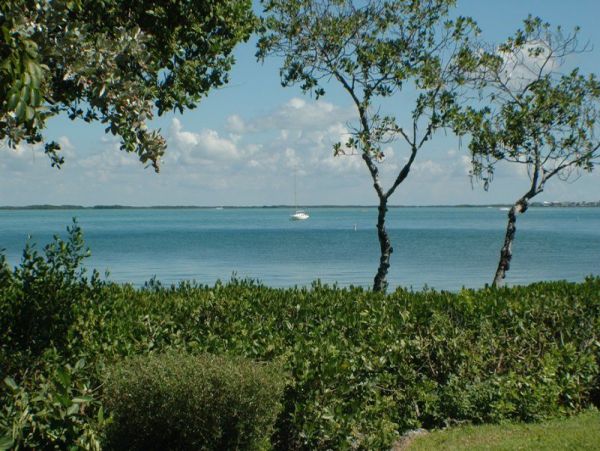 The Florida Keys Condo 977926