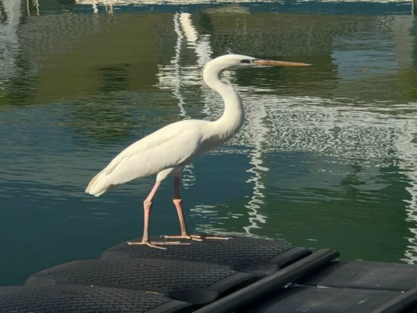 The Florida Keys Home 977934