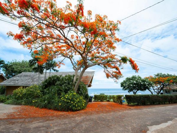 Poipu On Beach Two Bedroom Vacation Rentals Sleeps 4