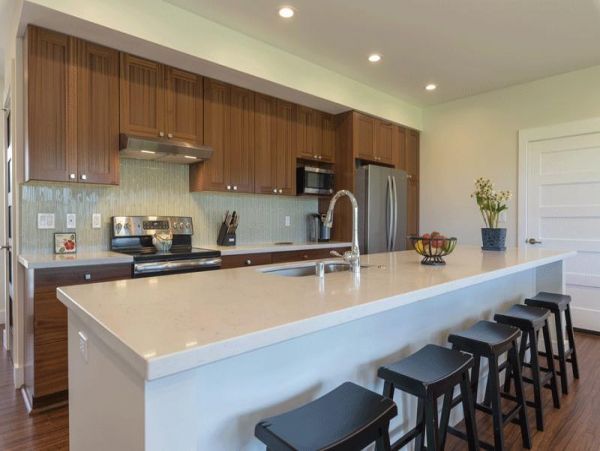 Koloapoipu Home 977976