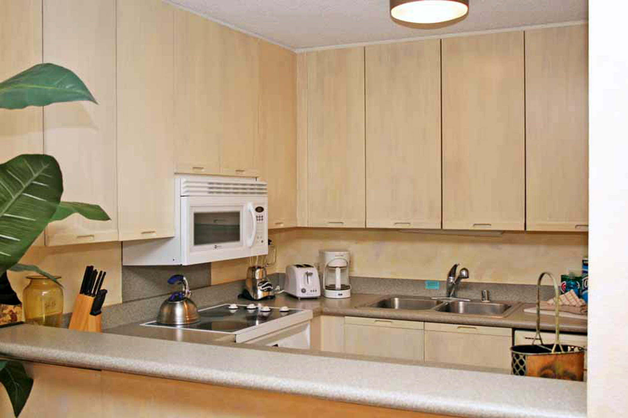 Wailea Condo 978009
