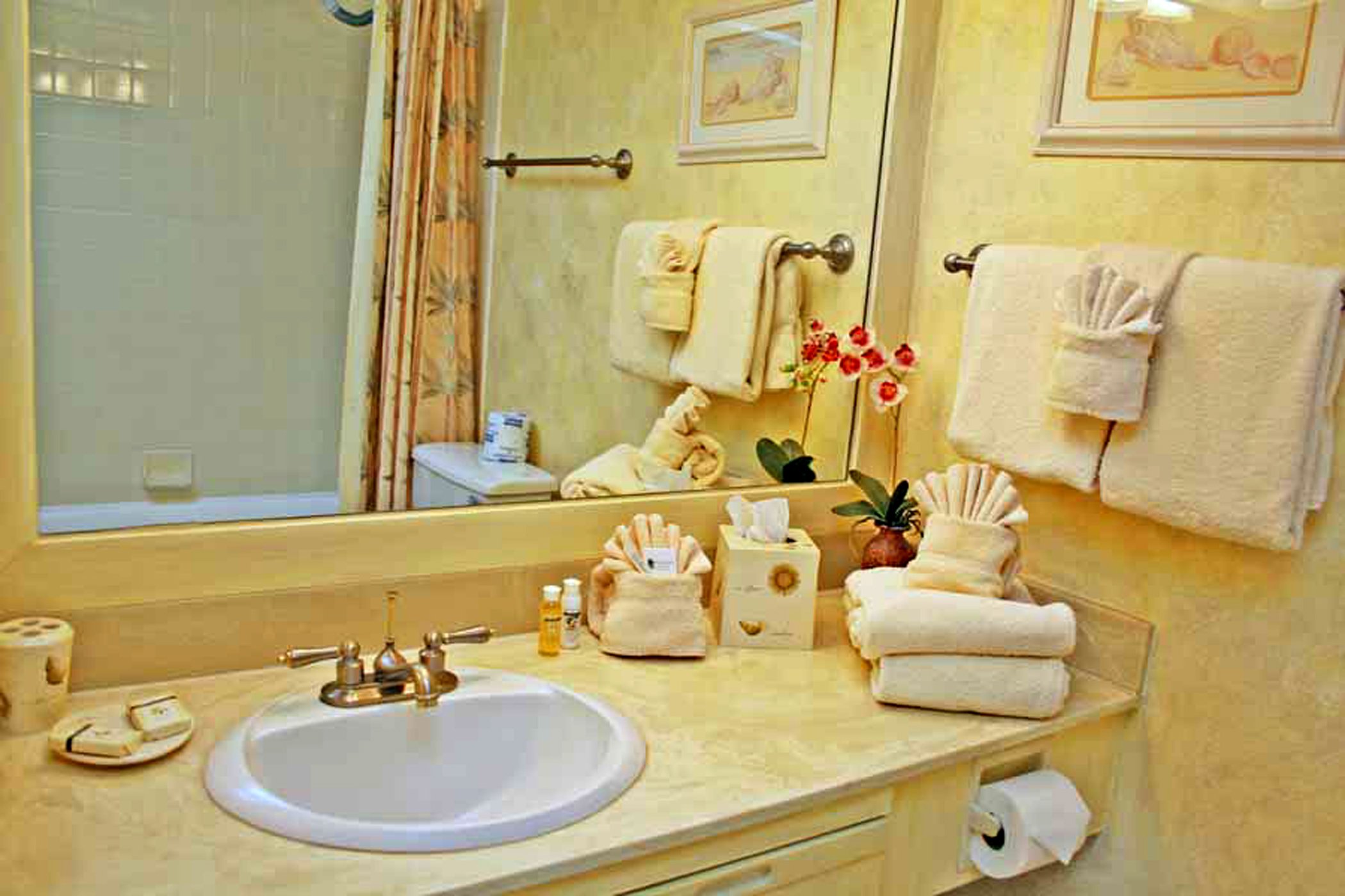 Wailea Condo 978009