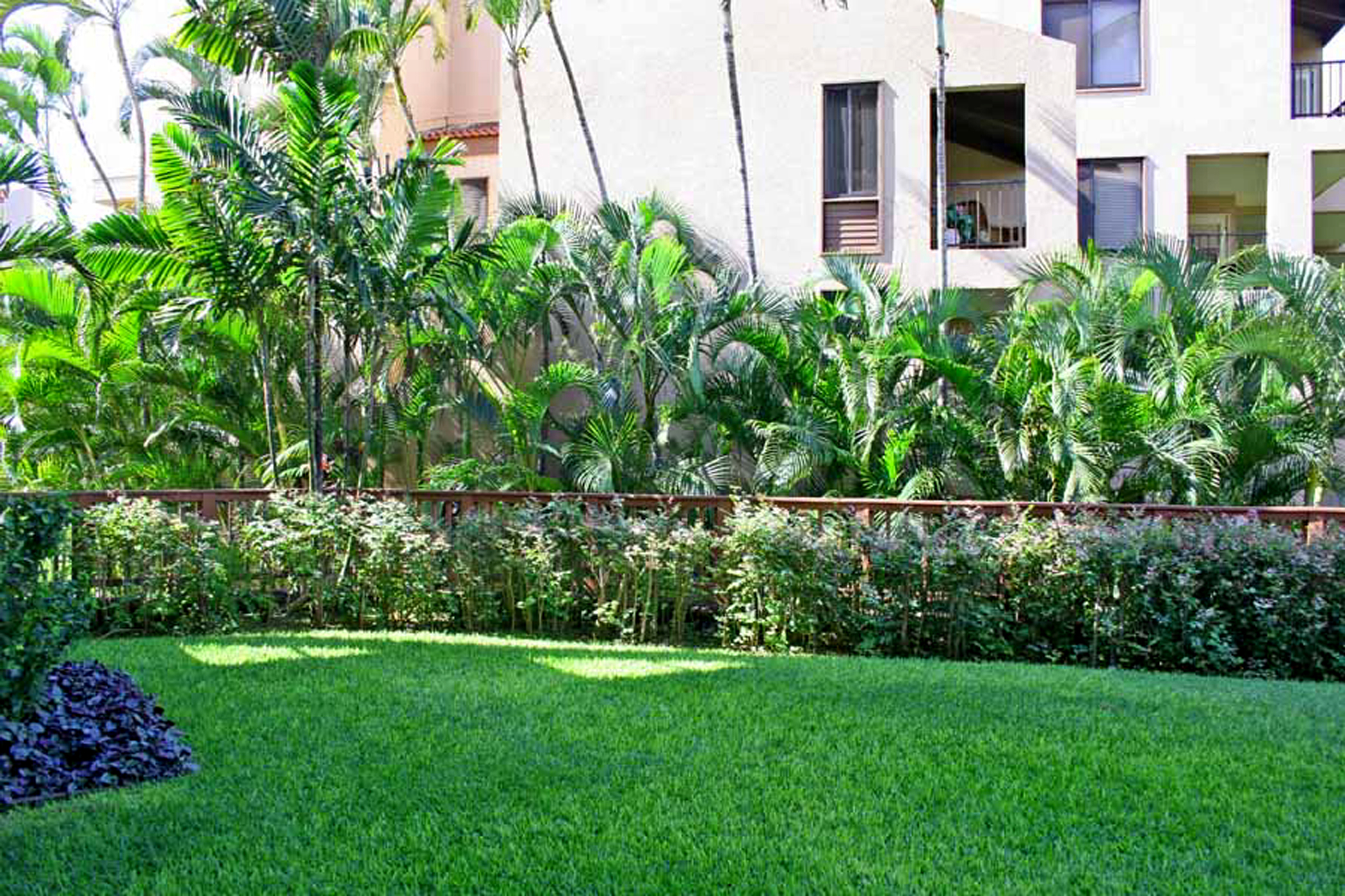 Wailea Condo 978009