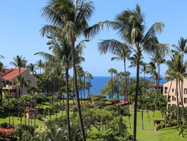 Wailea Condo 978010