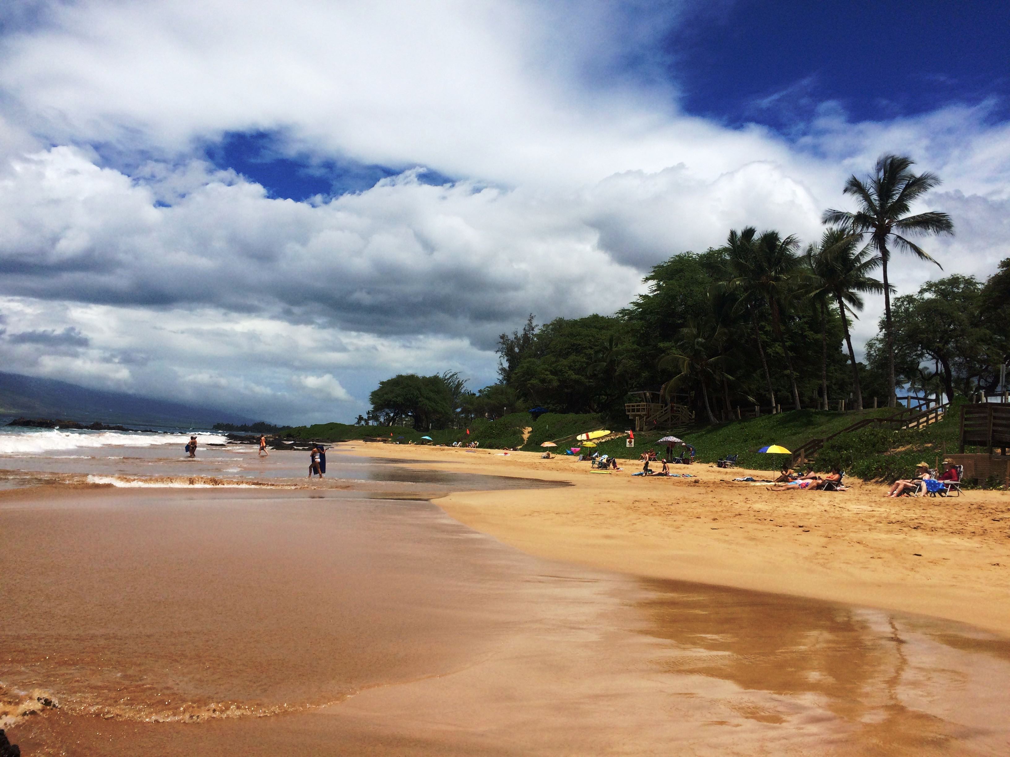 Wailea Condo 978011